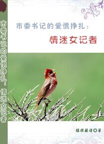 市委书记的爱恨挣扎:情迷女记者